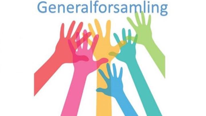 Billede af generalforsamling